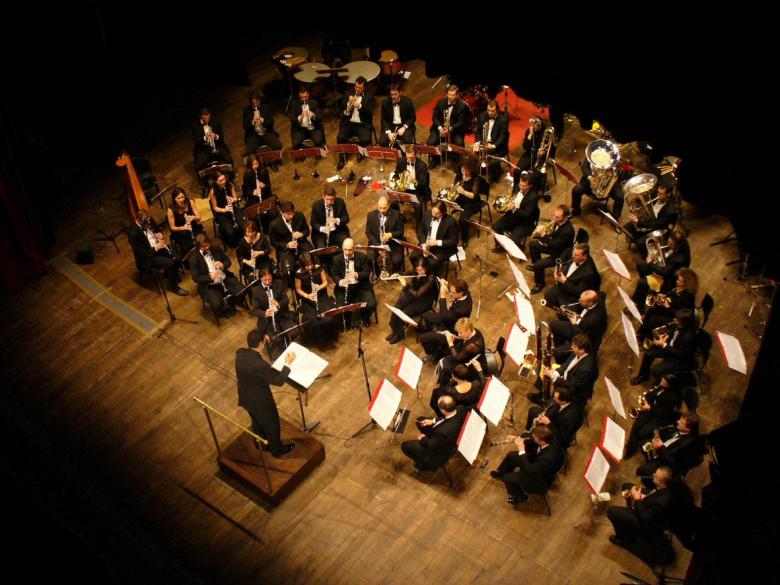 Risultati immagini per concerti classica