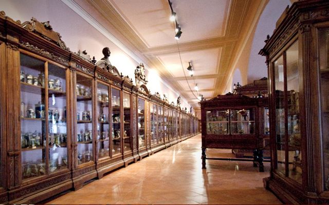 Museo-di-Anatomia-dell’Università-di-Napoli-ingresso-gratuito-.jpg