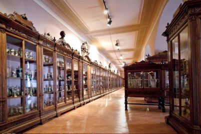 Museo-di-Anatomia-dell’Università-di-Napoli-ingresso-gratuito-.jpg