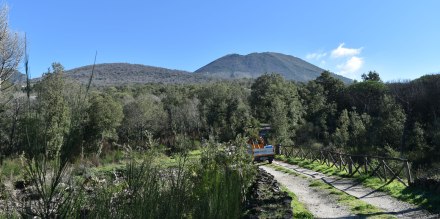Aperto gratuitamente il sentiero n 4 del Parco del Vesuvio “Attraverso La Riserva Tirone”